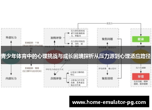 青少年体育中的心理挑战与成长困境探析从压力源到心理适应路径 青少年体育中的心理挑战与成长困境探析从压力源到心理适应路径
