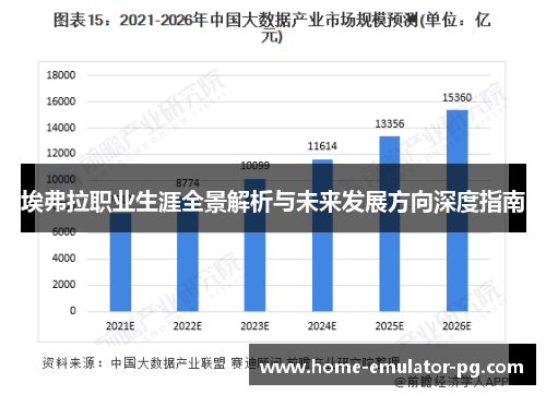 埃弗拉职业生涯全景解析与未来发展方向深度指南