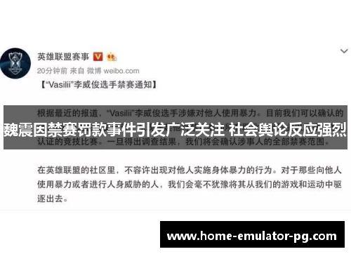 魏震因禁赛罚款事件引发广泛关注 社会舆论反应强烈