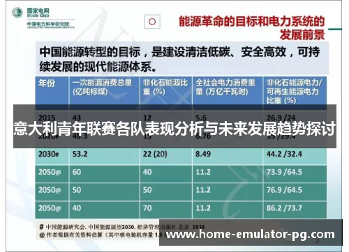 意大利青年联赛各队表现分析与未来发展趋势探讨 意大利青年联赛各队表现分析与未来发展趋势探讨