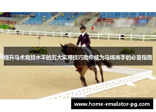 提升马术竞技水平的五大实用技巧助你成为马场高手的必备指南
