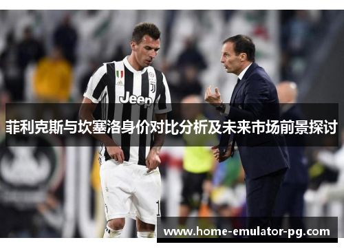 菲利克斯与坎塞洛身价对比分析及未来市场前景探讨